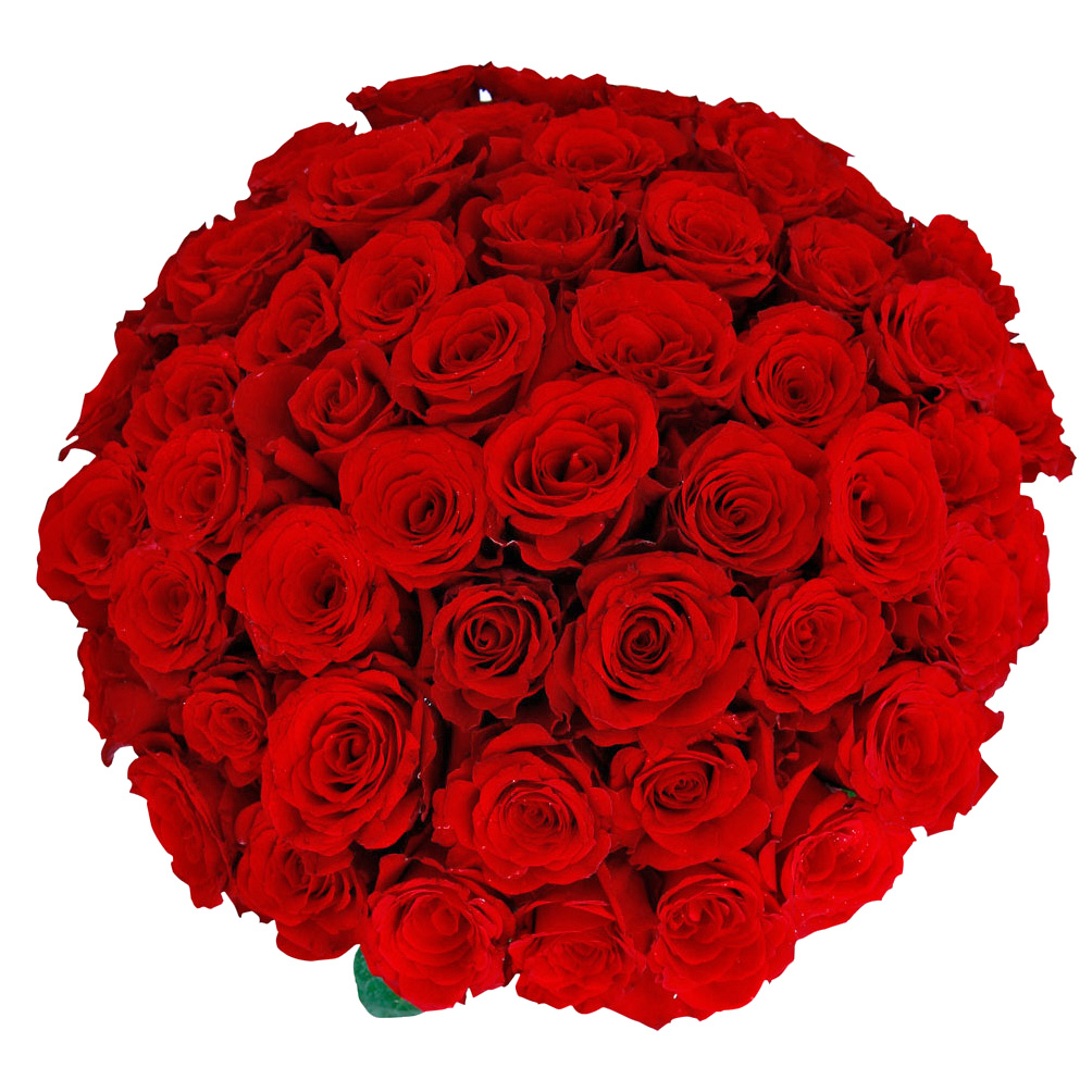 Floral Story (Florist) - UAE's Leading Flower Shop